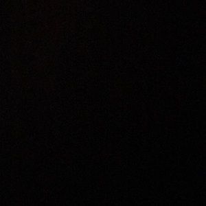 Meet your Posher, Ella